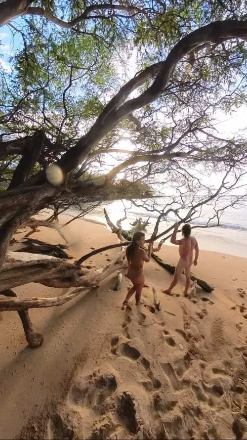 On a Beach in Hawaii 