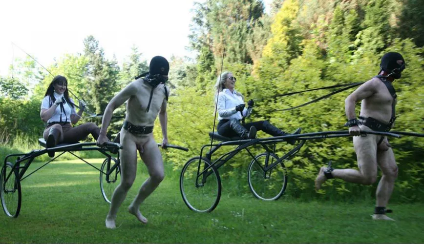 *Press Release* Today we are holding a victory parade to celebrate Alex's surrender. Pig attendance is mandatory.