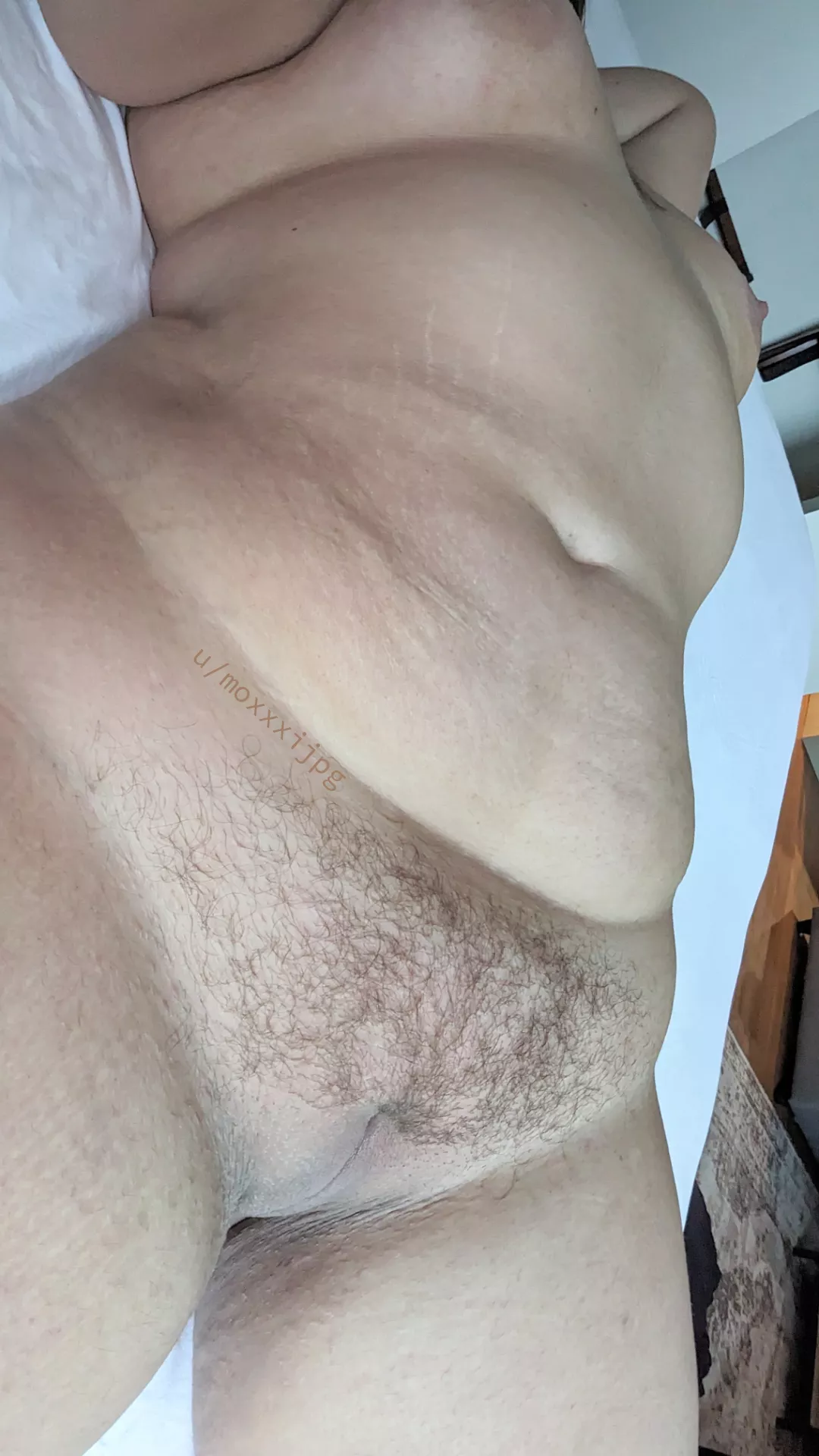 Should I commit to a full bush? 