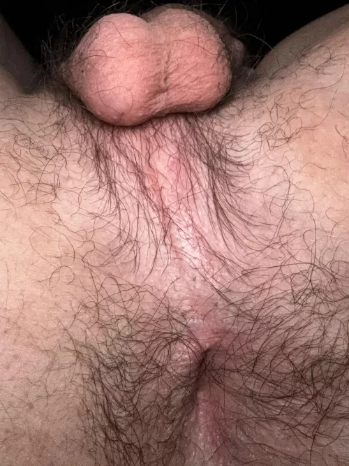 Would you cum inside?
