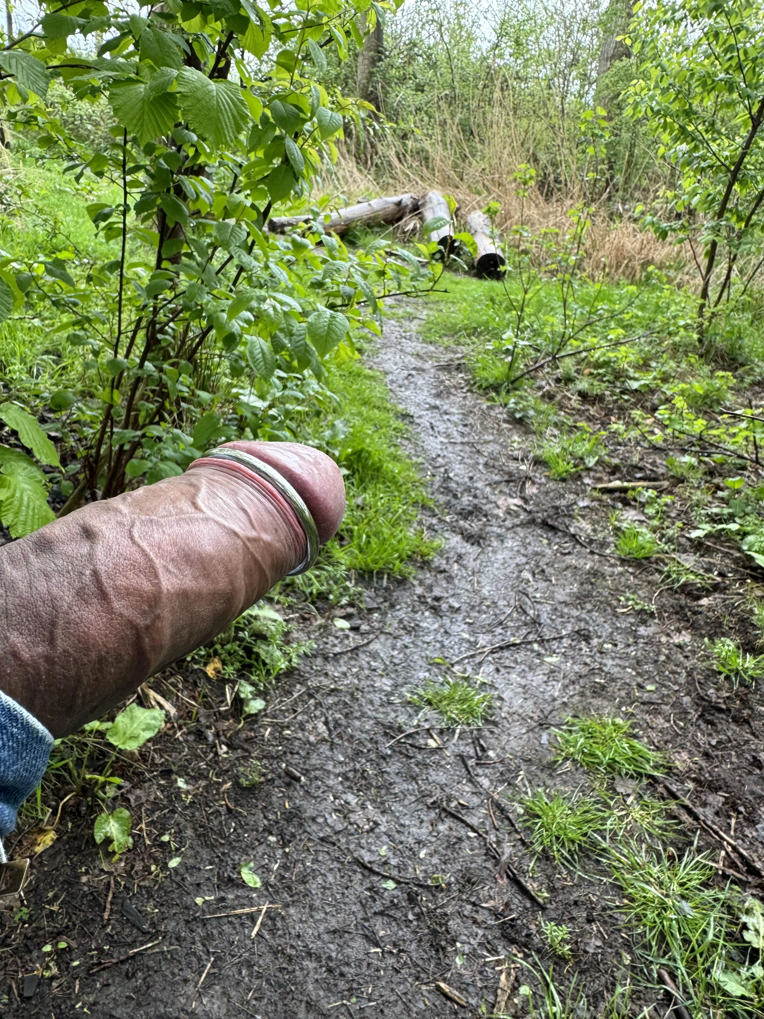 Follow the trail and taste the rainbow…