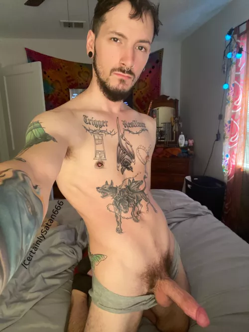 Had my bat tattoo touched up 