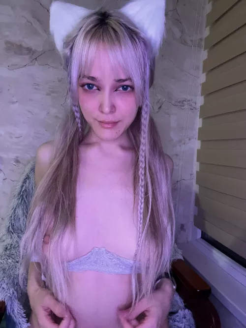 Having a kitten is a big responsibility, do you realize that?