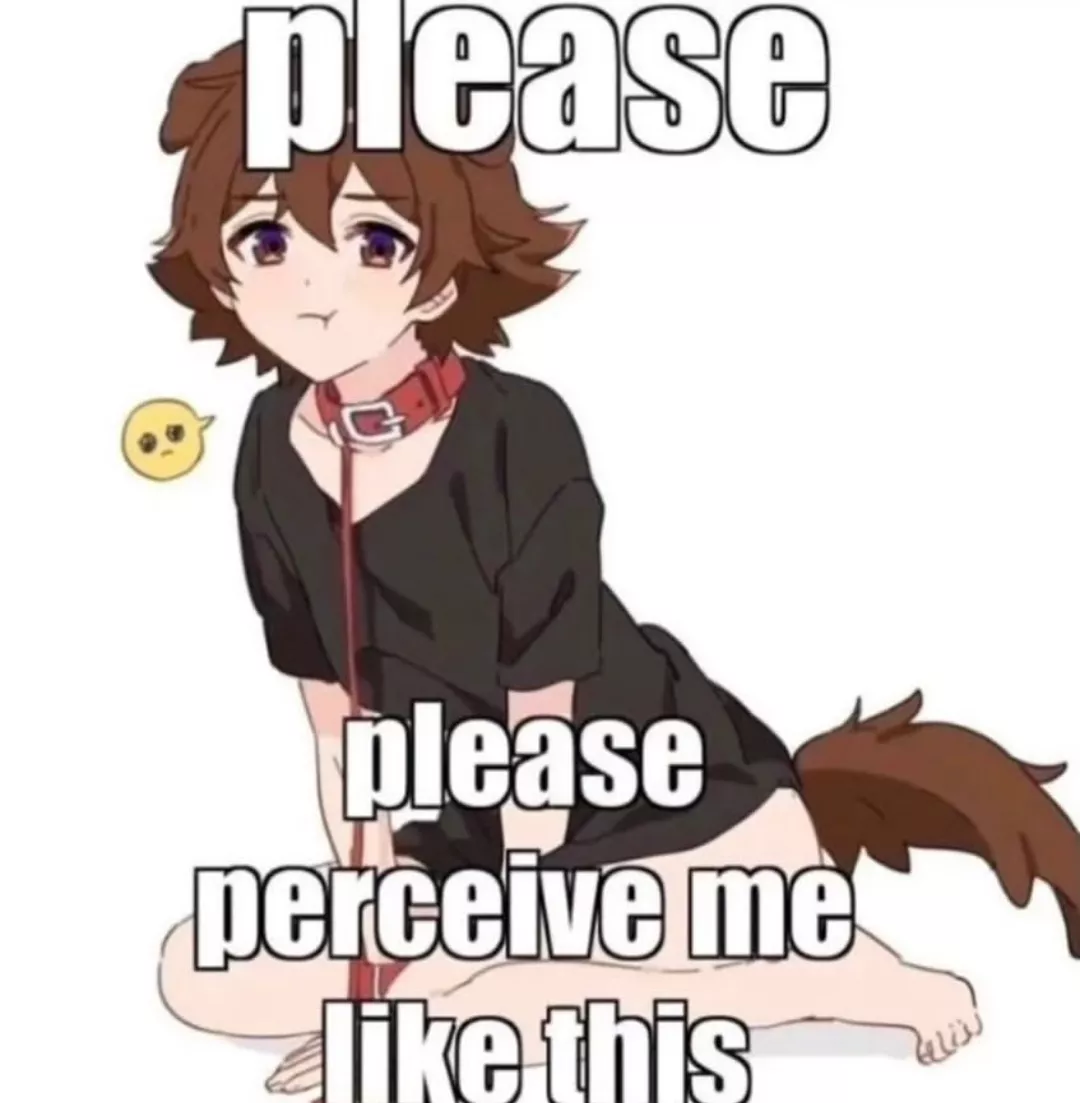 Just a smol puppy boi