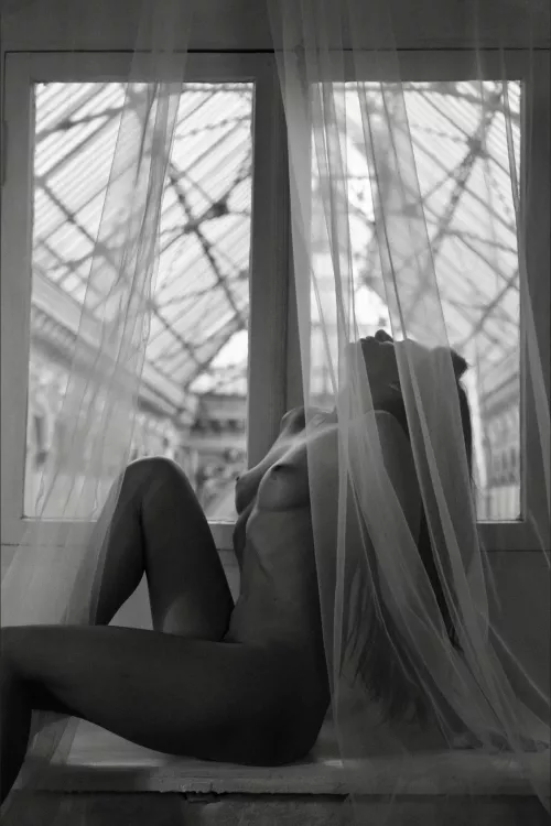 Window Light Reverie