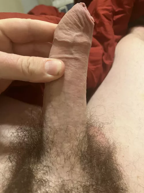 Big and hairy foreskin 