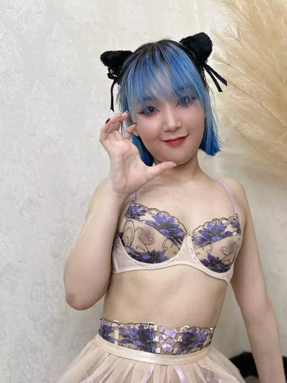 Master, I'm your new kitten.meow