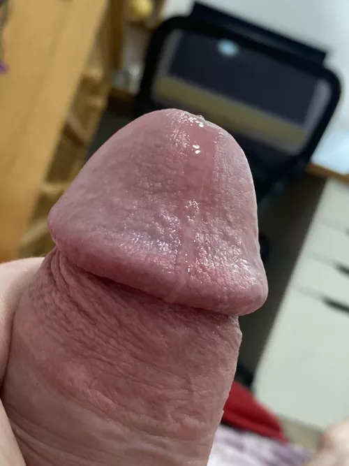 precum closeup!