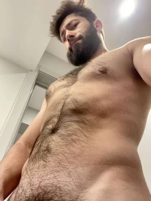 This angle really shows off the man-rug ⚡️