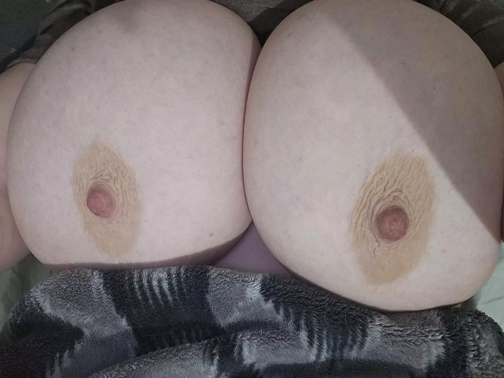 Titty Tuesday 