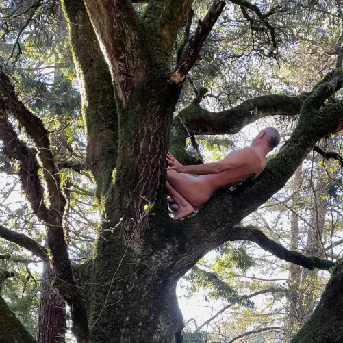 🌳Tree Pose Tuesday🌳