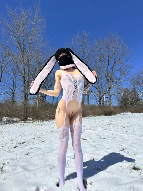you see this bunny in your yard, wyd