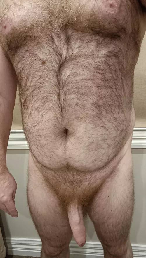 (38) Big hairy Aussie 