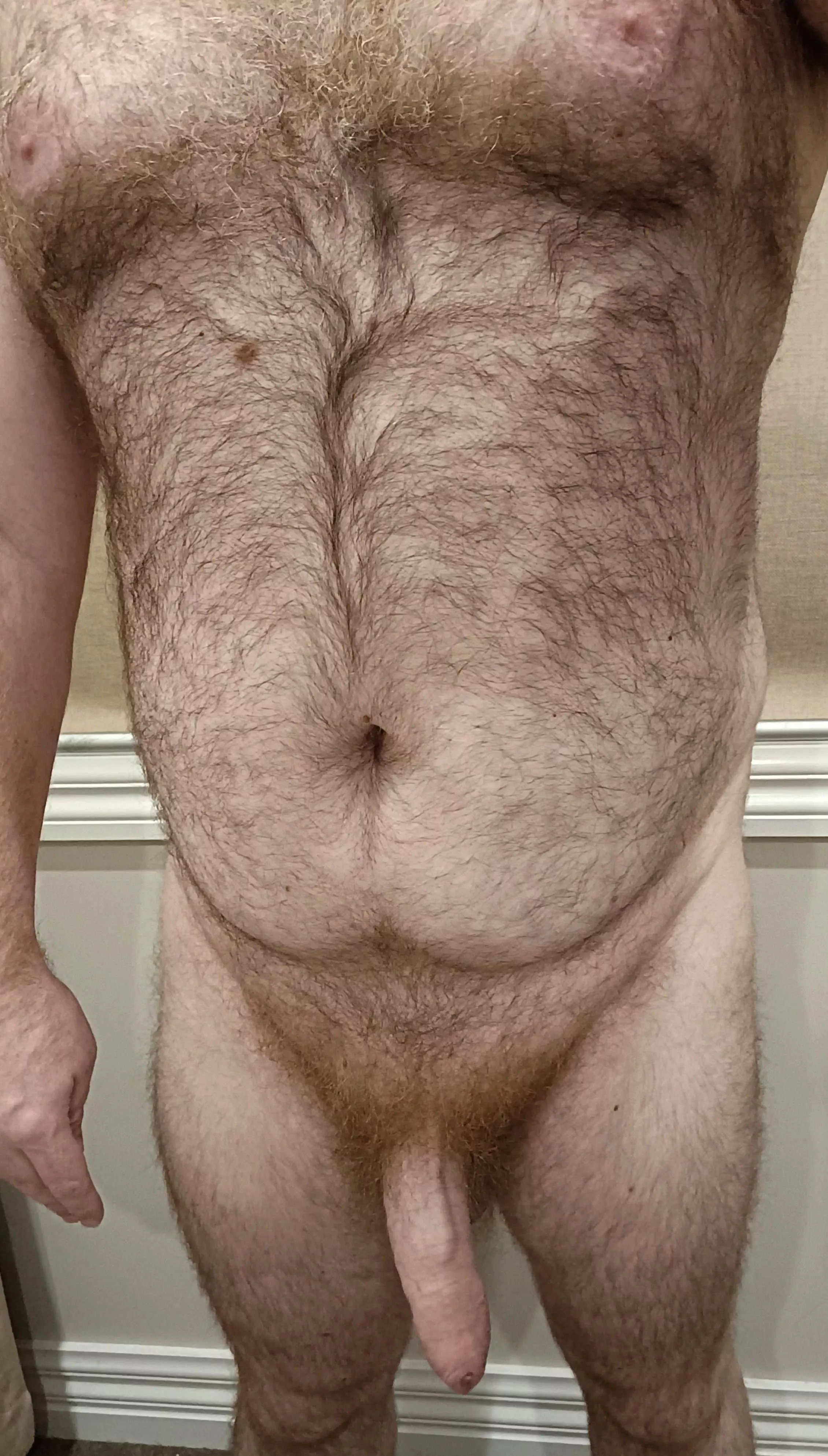 (38) Big hairy Aussie 