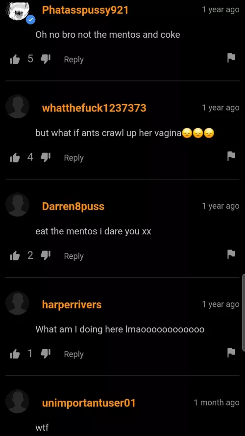 Bro what did I stumble upon 🙏