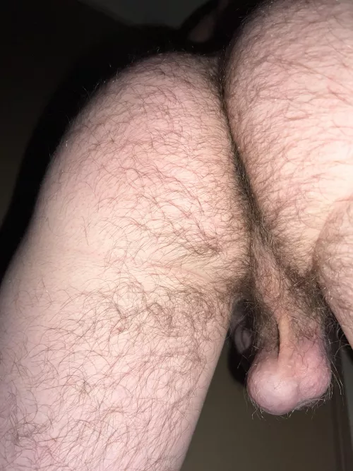 Hairy as fuckk