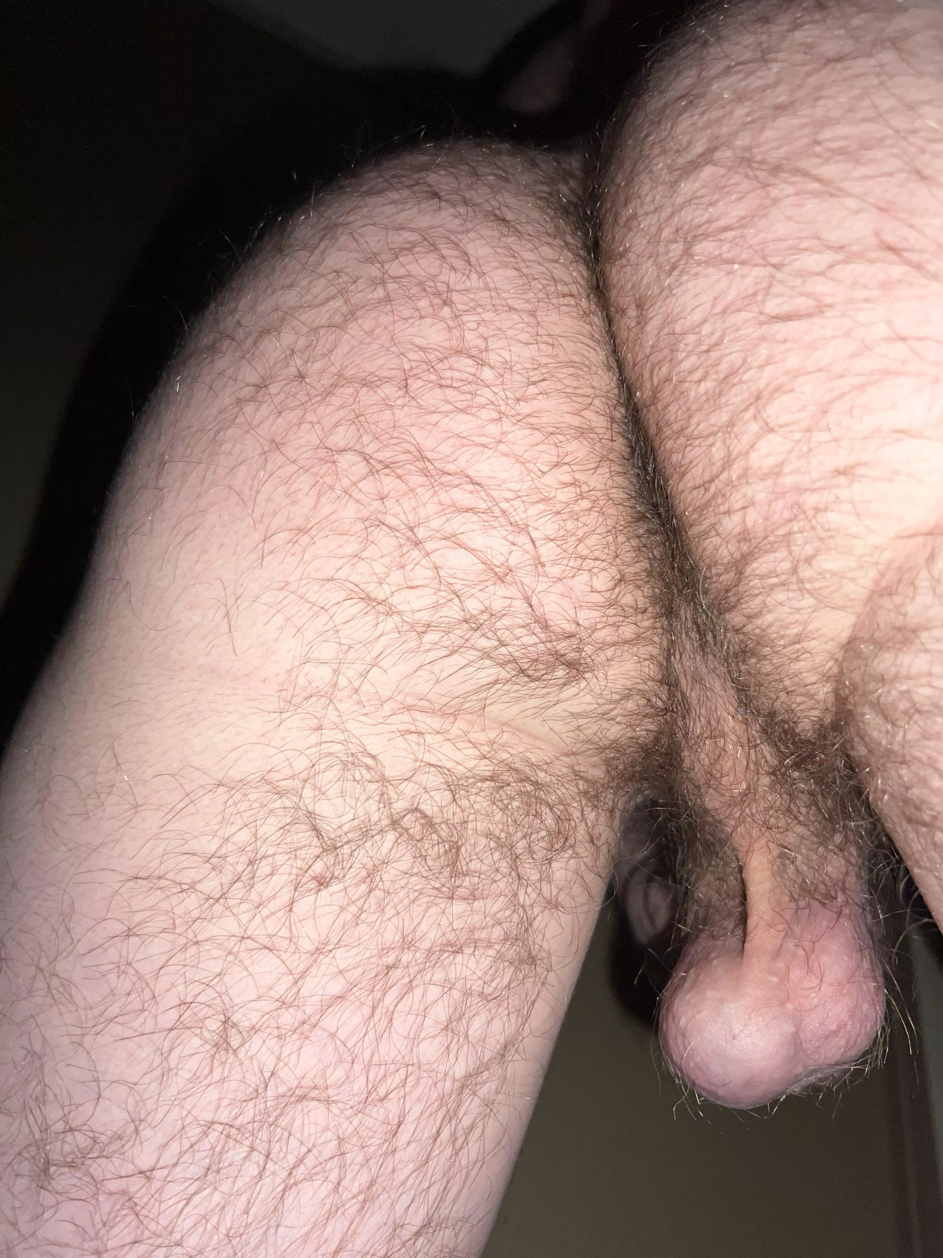 Hairy as fuckk