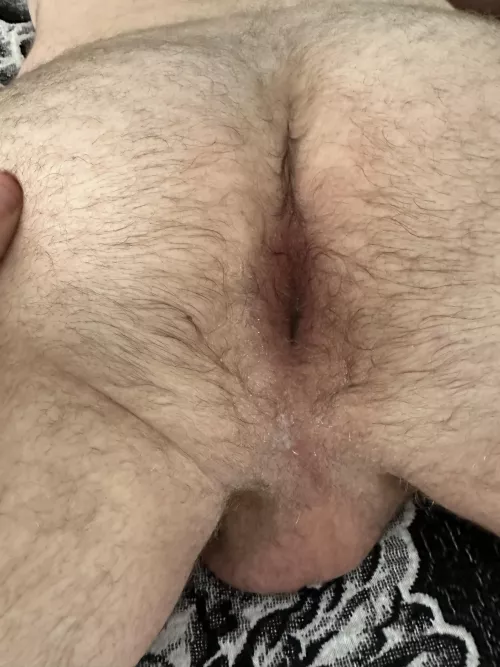 How about a fuzzy bred ass?