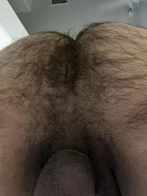 If I sent this what would be your reaction ? 🙂‍↕️ sniff and lick or pass? 