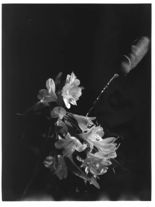 Watering the Flowers