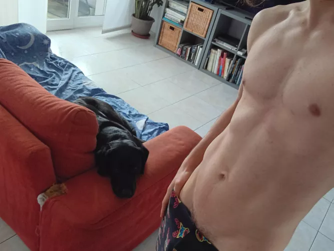 What gets your attention first?