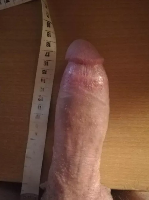 25M BWC bull from Europe Slovenia looking for couples