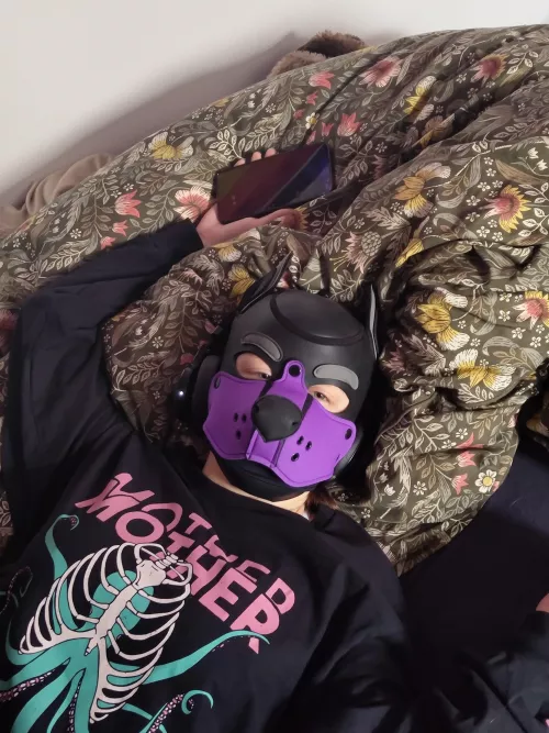 Chilling and listening to music 🐾♥️