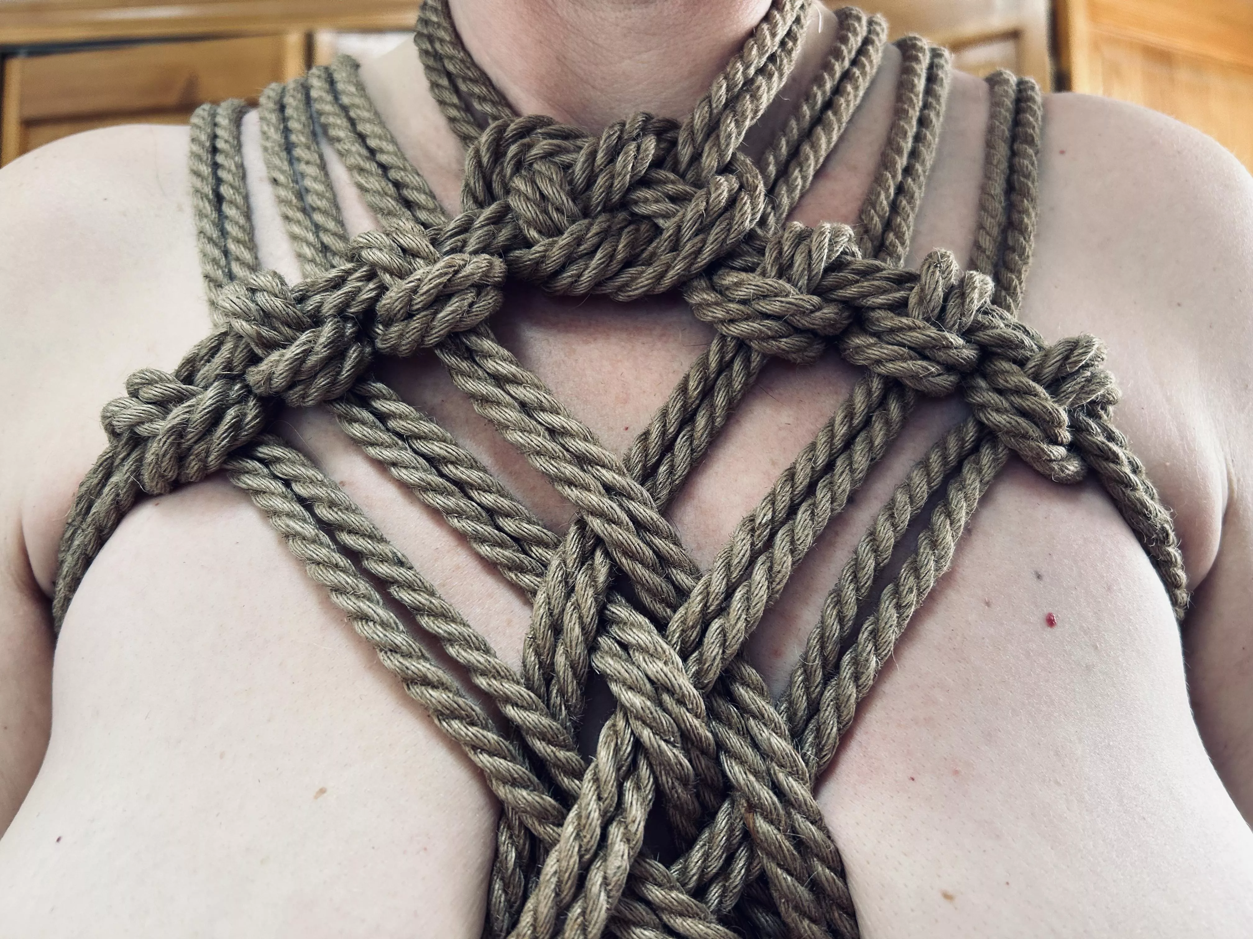 Fun Friday morning harness