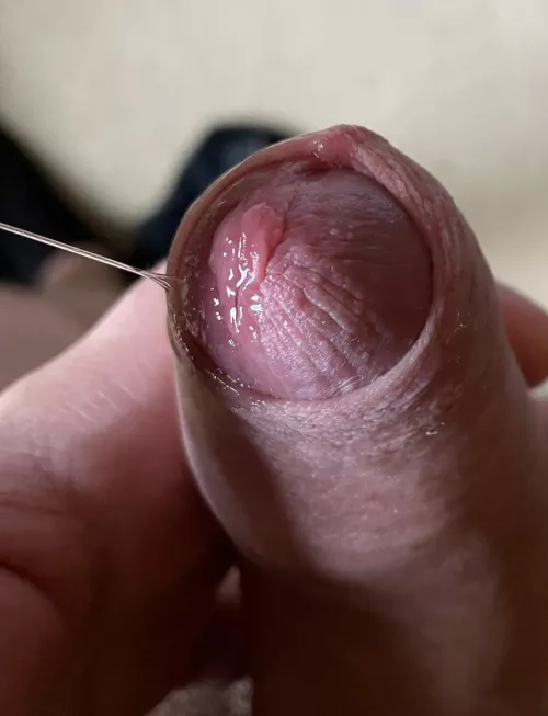 I need someone to lick it (25)