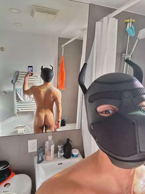 I swear I’m a friendly pup! 🤠