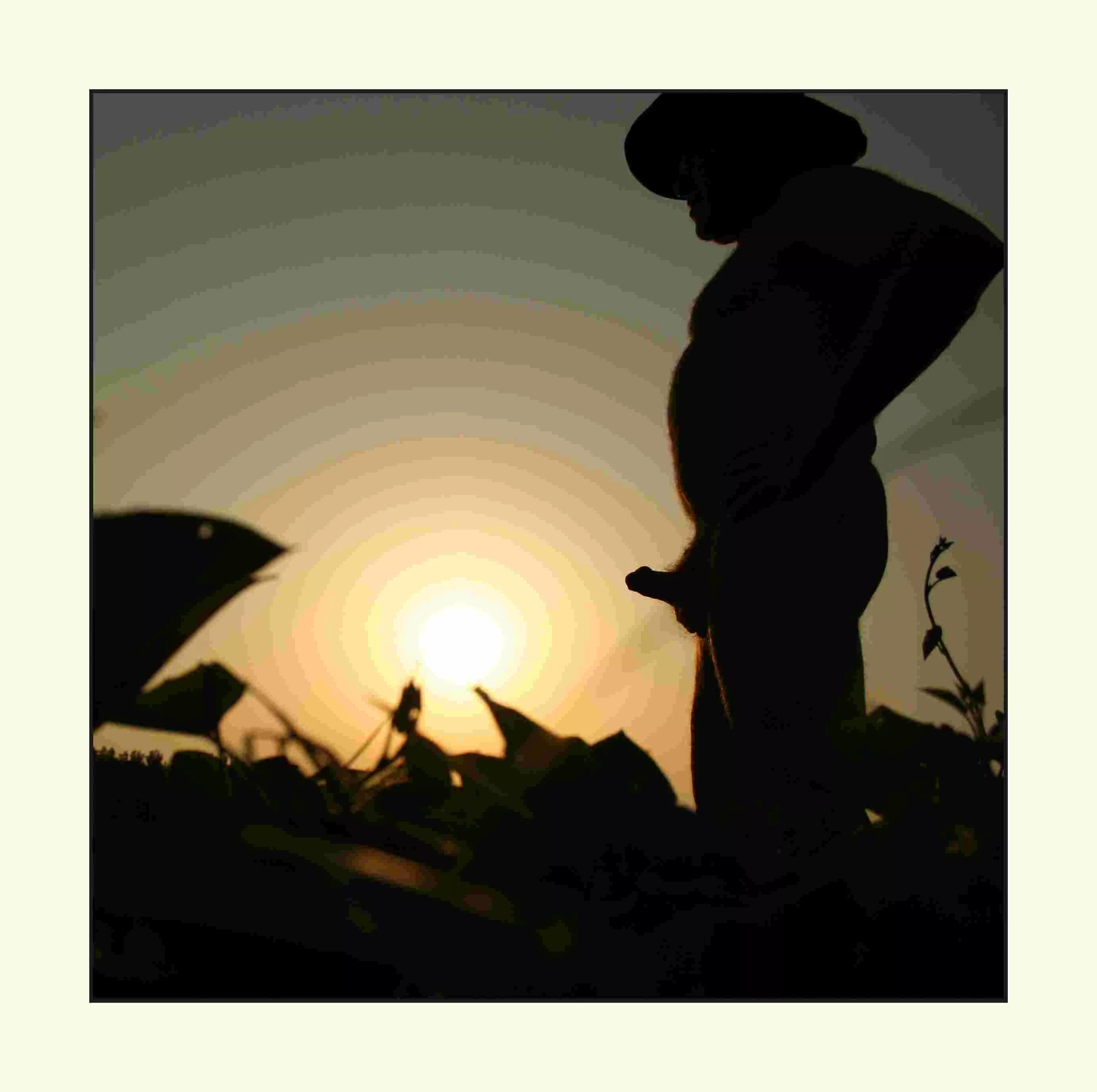 M60 - enjoying the sun set