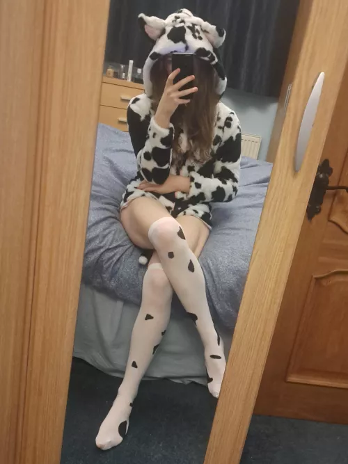 Moo! 🐮