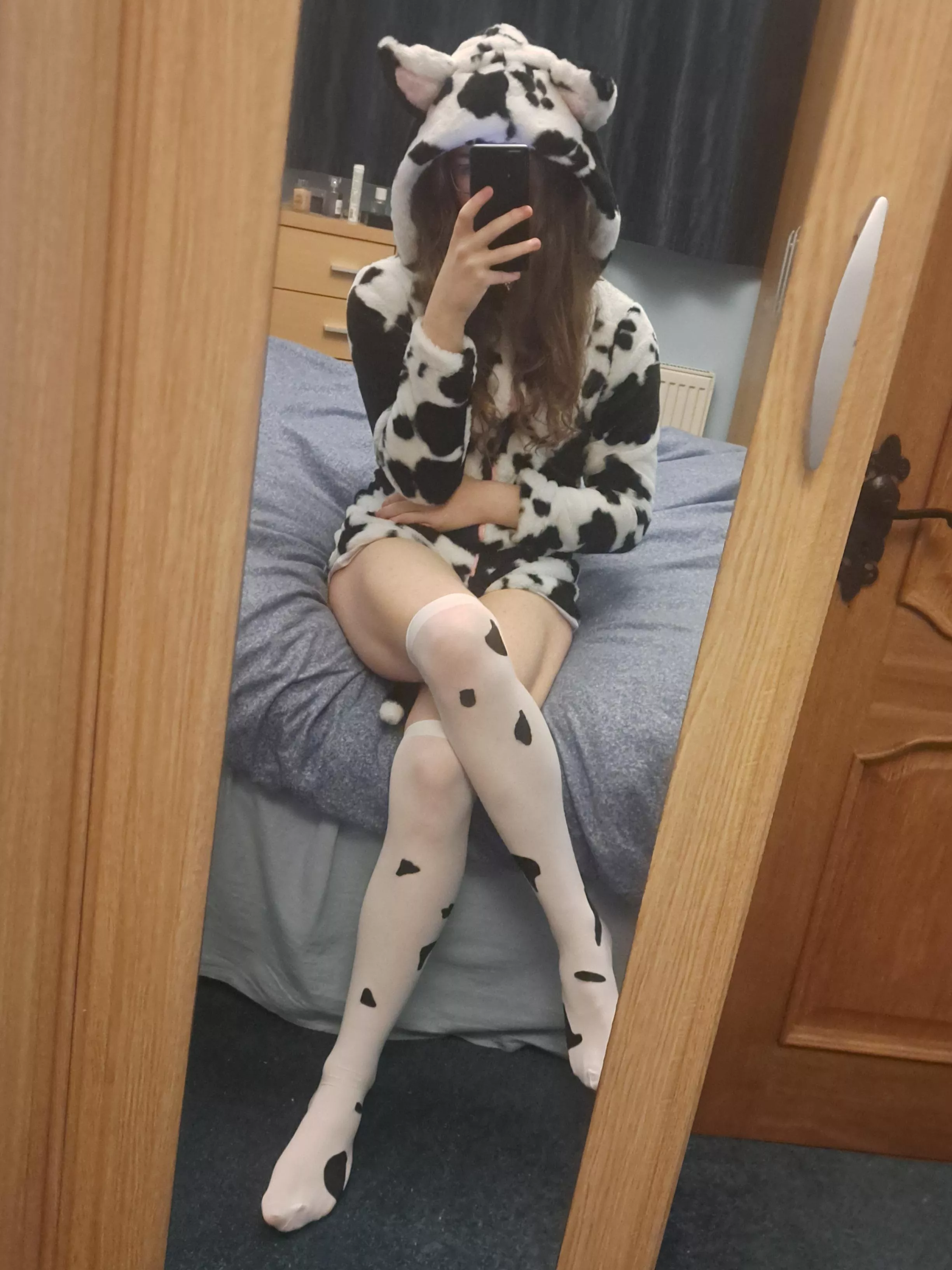Moo! 🐮