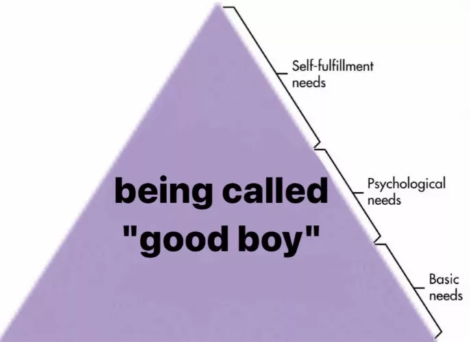 Yet another ancient D/s meme brought to you by your fave former-meme-maker Domme