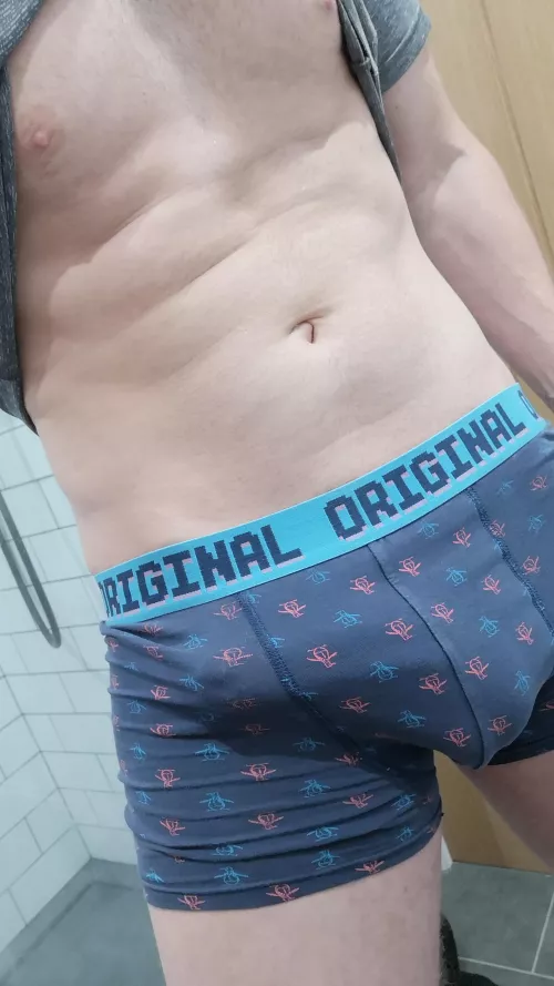 Anyone like penguins?