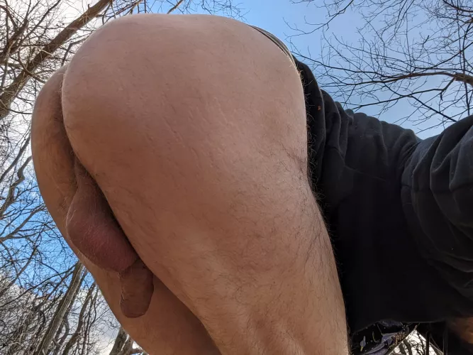 Hiking in the cold wind again today