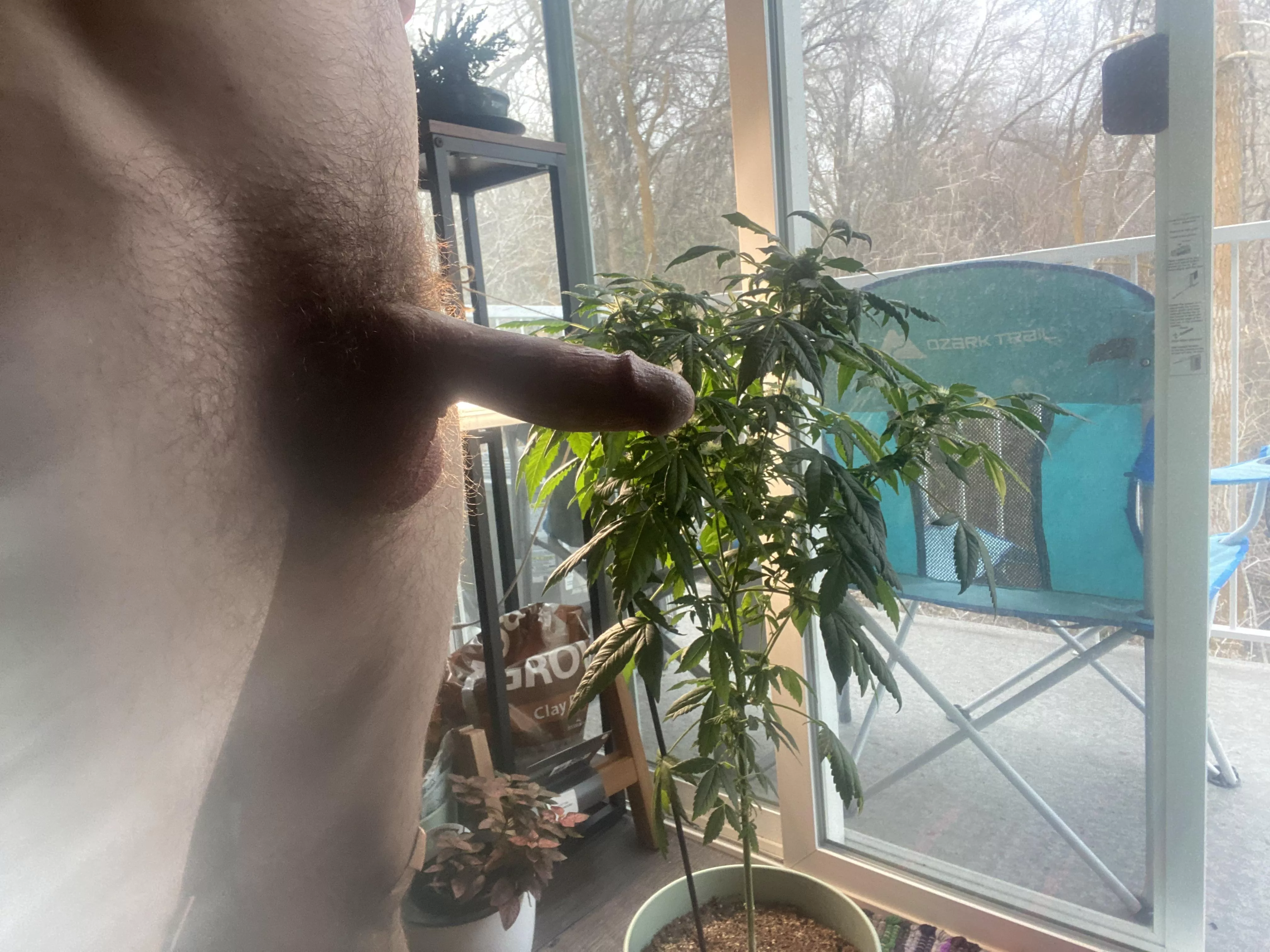 Home grown [m]ary jane