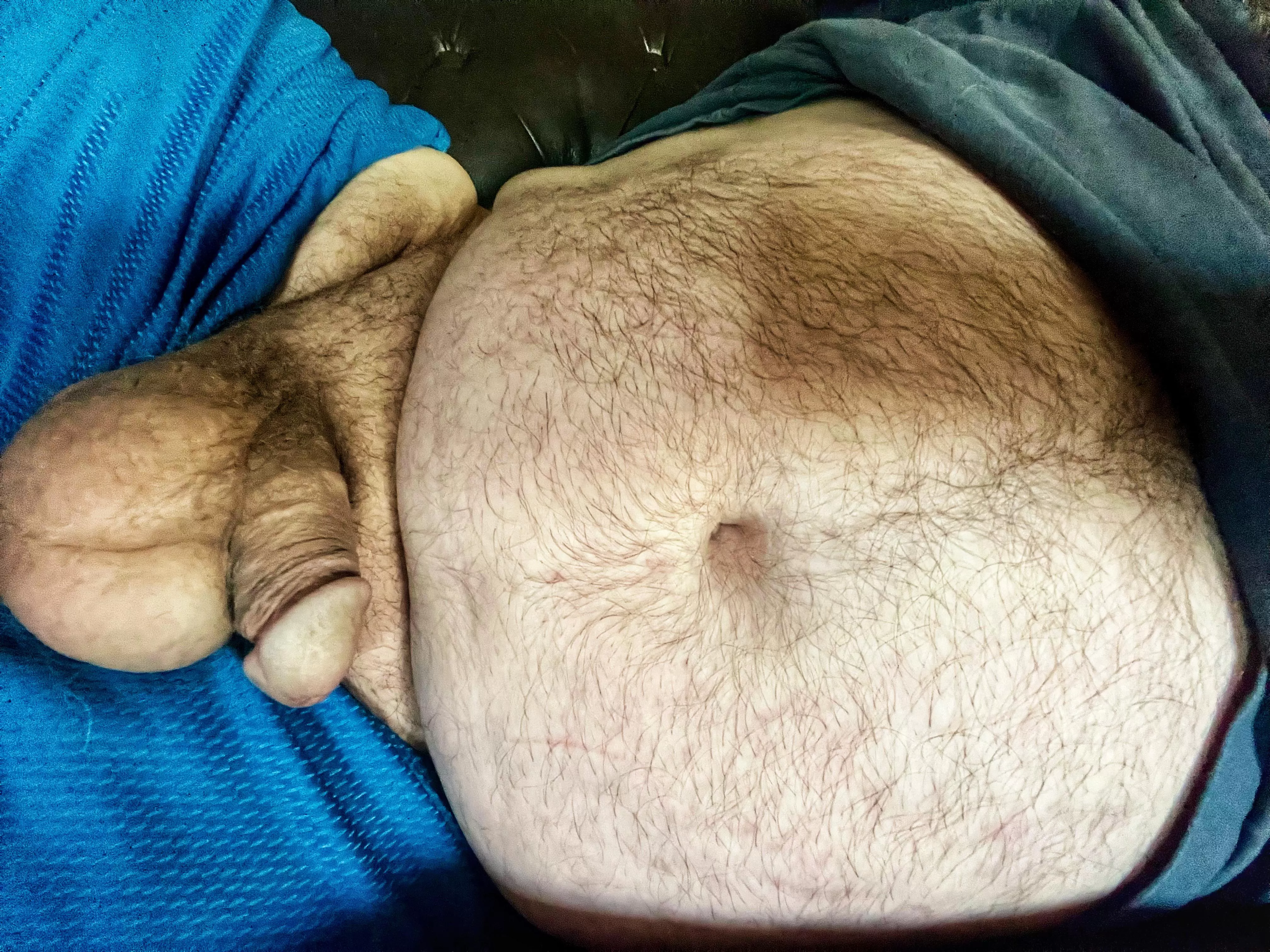 Just an older Bear laying on the couch. Want to come chill?