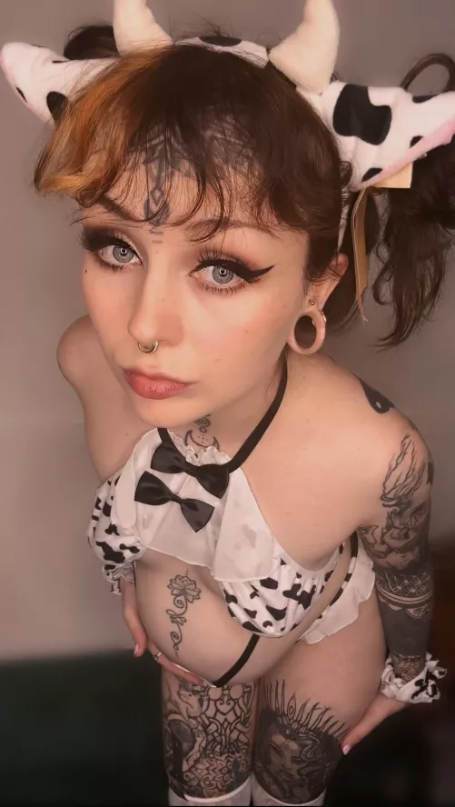 Moo 🥰🥰🥰🐮🤍