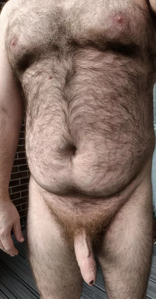 (38) Thick Aussie ready to play 