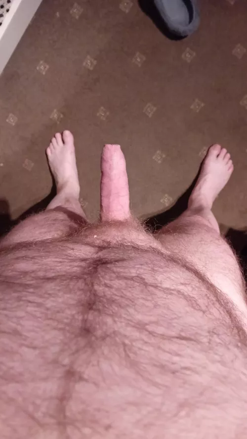 (54) who wants to play ?