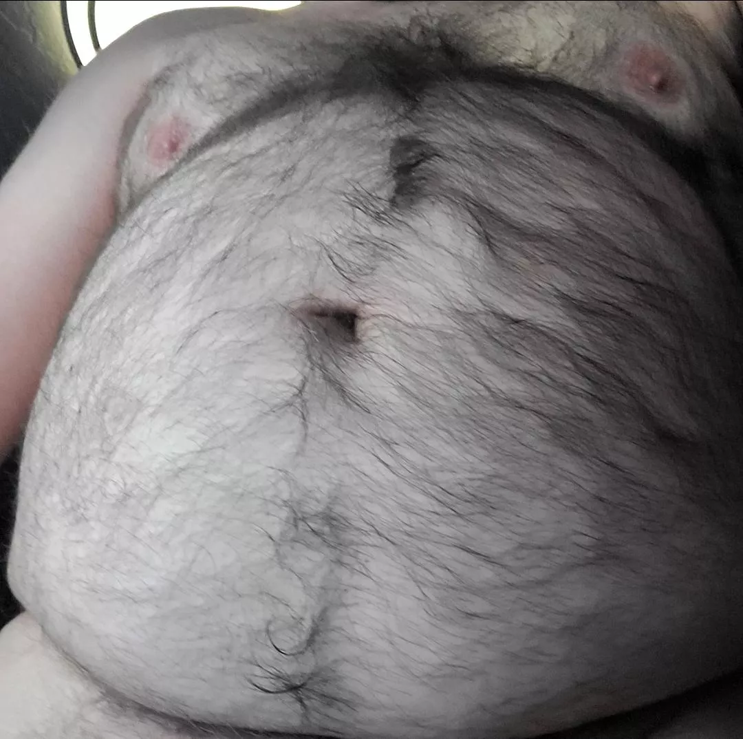 Hairy belly closeup. What do you think? 