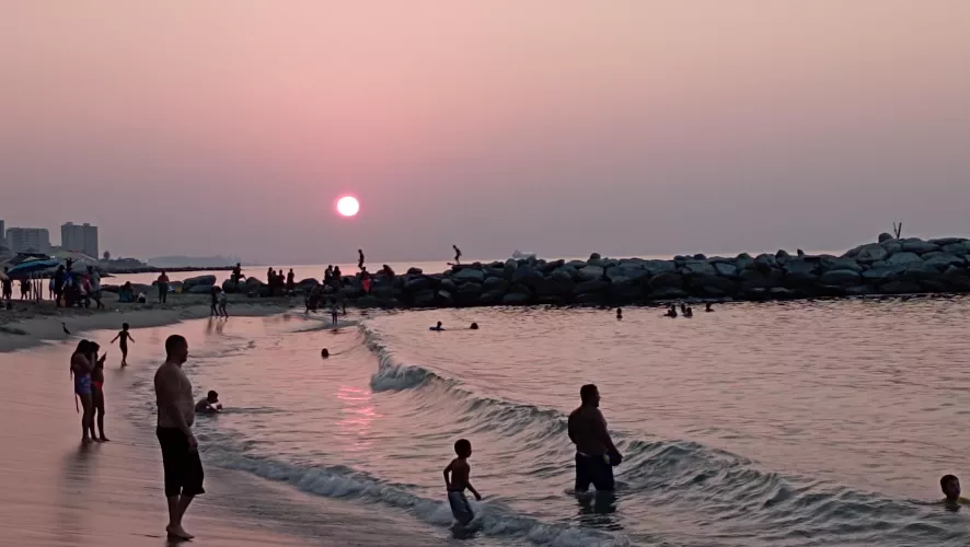 Is it true that life is tastier in the sea?