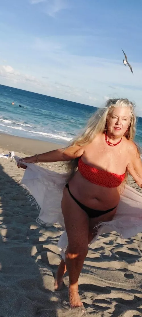 Just me and the seabirds 