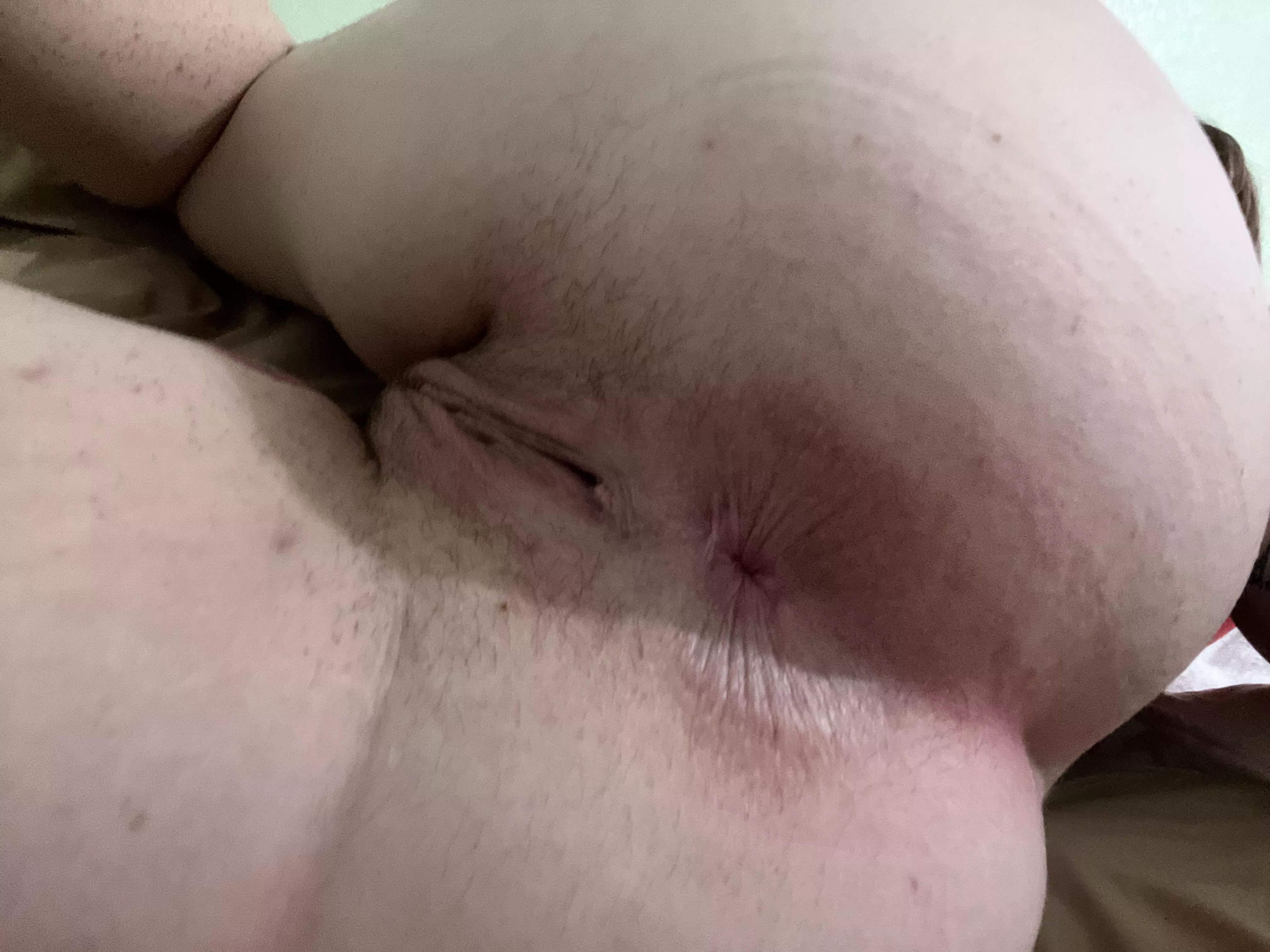 This little asshole is ready to take anything you can give