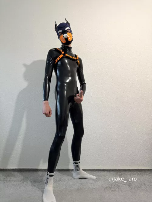 what would you do first when seeing this?