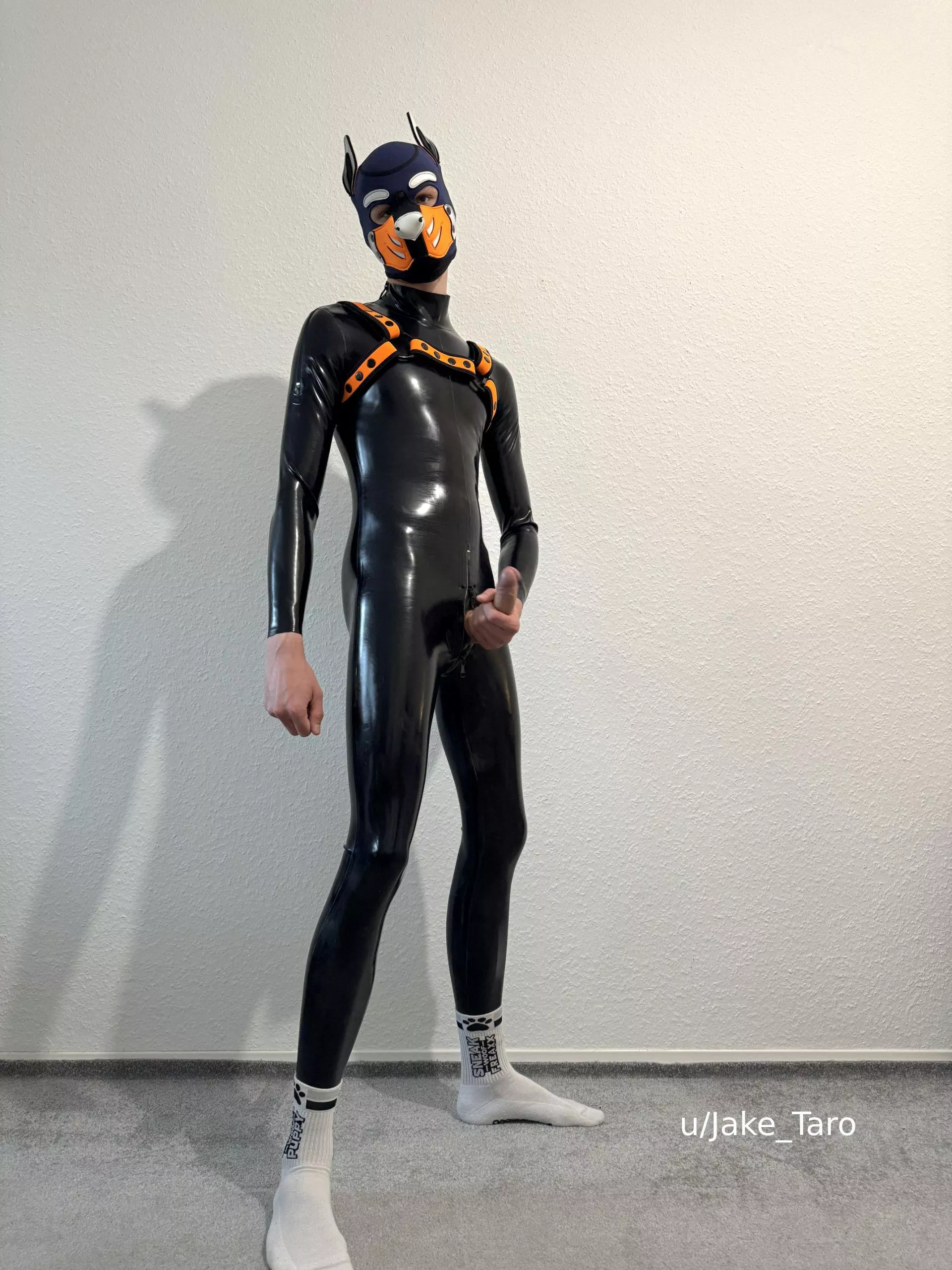 what would you do first when seeing this?