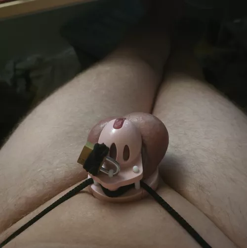 Why does taking pics of it exite me so much? 