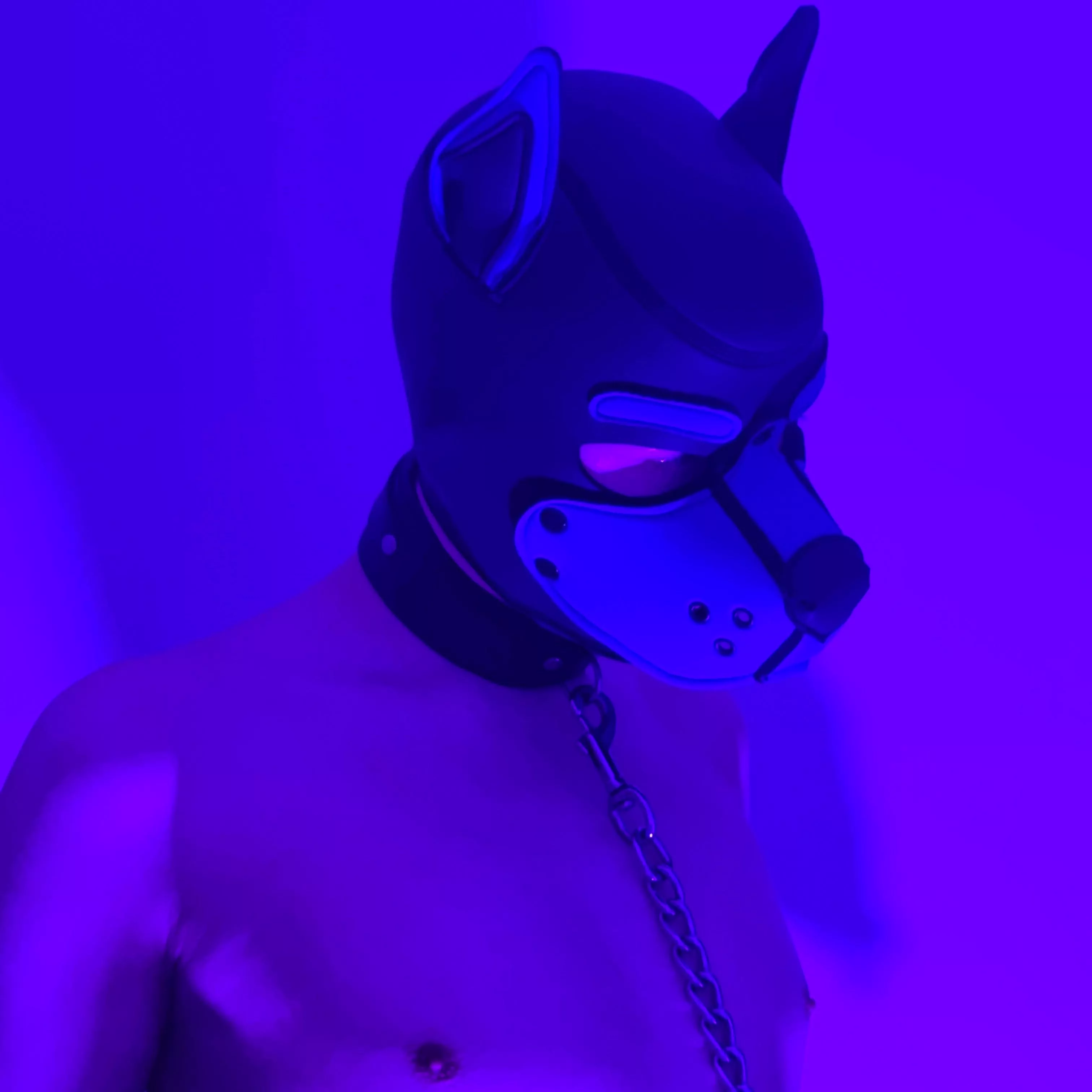 Brand new to puppy play and I have never felt more liberated. I have wanted to try it out for years and envied seeing others enjoying the pup lifestyle. Now I get to be a pup too! I'm a newbie so there's lots to learn, and I hope to find others in the 