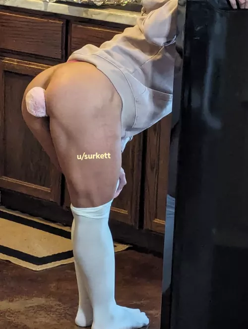 Bunnies know the uniform. [OC]